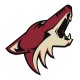Arizona Coyotes