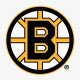 Boston Bruins