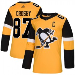 Pittsburgh Penguins Sidney Crosby 87 Alternate Adidas Authentic 2018-19 NHL Jersey